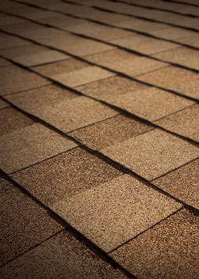 ECI: Roofing Tuckpointing Stone Gutters Co. Images
